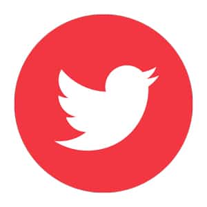 Twitter Icon